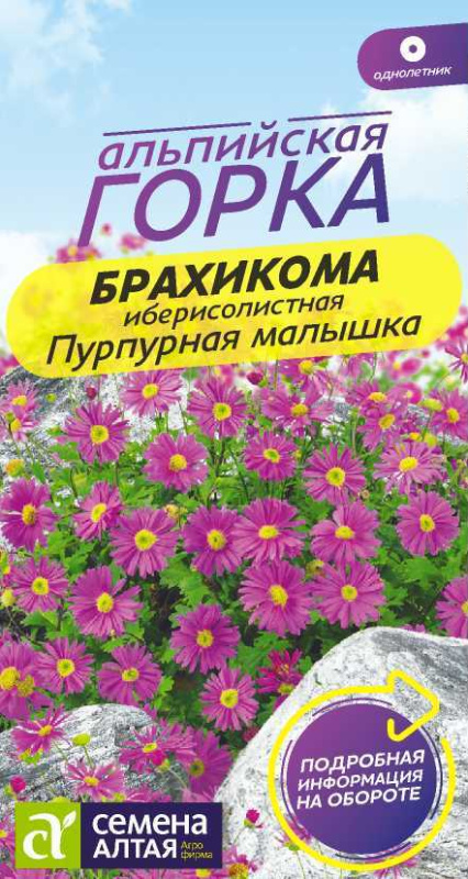 Семена Цветы Брахикома Пурпурная малышка/Сем Алт/цп 0,05 гр. Альпийская горка НОВИНКА