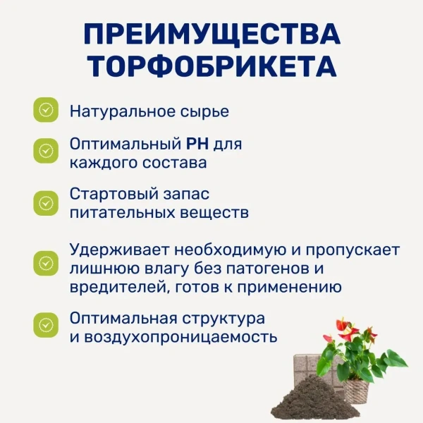 Почвобрикет БиоМастер Универсальный, 5л