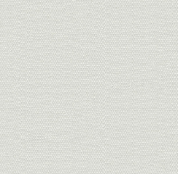 Обои AVISTO 89223 Room (10,05*1,06)(6) винил горячего тиснения на флизелине