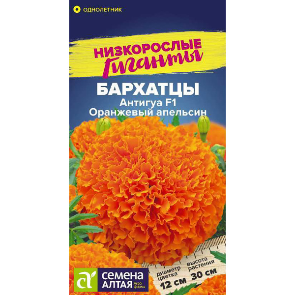 Семена Цветы Бархатцы Антигуа Оранжевый апельсин/Сем Алт/цп 5 шт. Низкорослые гиганты (2026 / 389470