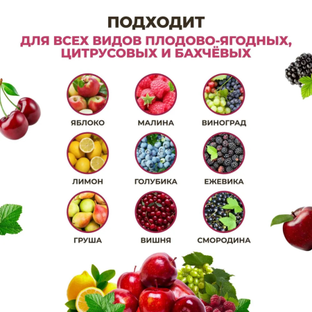 Субстрат ионитный ZION (Цион) для выращивания плодово-ягодных культур 700 гр