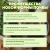 Почвобрикет Дивная петуния, 10л с гидрогелем БиоМастер