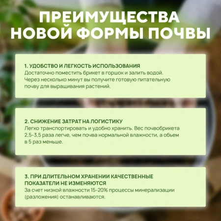 Почвобрикет Дивная петуния, 10л с гидрогелем БиоМастер