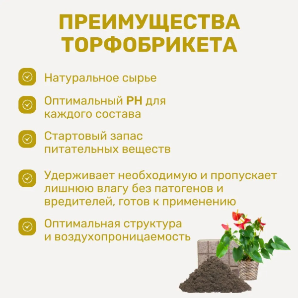 Почвобрикет БиоМастер Яркая бегония, 5л
