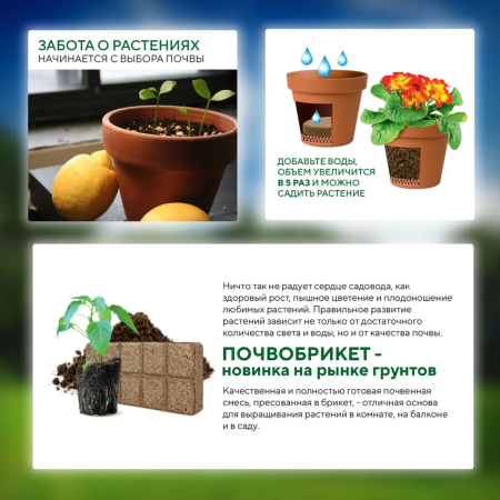 Почвобрикет БиоМастер Чудный лимон, 5л