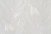 Обои Артекс 11390-01 Оазис (10,05*1,06)(6) винил горячего тиснения на флизелине