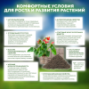 Почвобрикет БиоМастер Зеленая Пальма, 5л