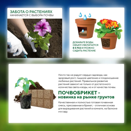 Почвобрикет Дивная петуния, 10л с гидрогелем БиоМастер