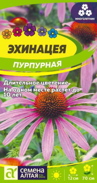 Семена Цветы Эхинацея Пурпурная/Сем Алт/цп 0,2 гр. многолетник НОВИНКА (2028 / 737)