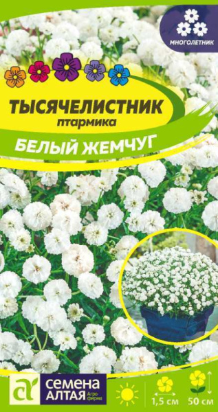 Семена Цветы Тысячелистник Белый жемчуг/Сем Алт/цп 0,05 гр. многолетник (2029 / 4468)