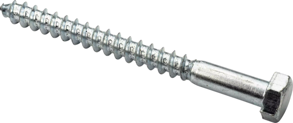 Болт сантехнический оцинк. DIN 571 10х100 (2 шт)