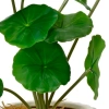 Растение искусственное в горшке scindapsus, lotus leaf, monstera 3 вида в ассортименте 808554 Kmg